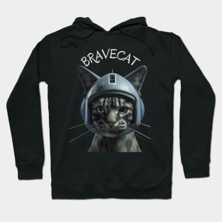 My cat is my best friend. I would even fly on a plane piloted by my cat Hoodie